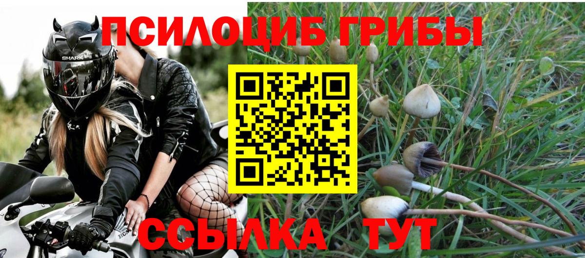 Галлюциногенные грибы прущие грибы  Вход с VPN  сколько стоит  Новошахтинск 