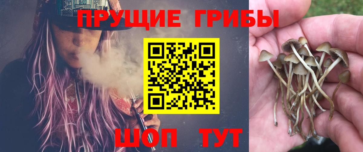 Галлюциногенные грибы мицелий Новошахтинск